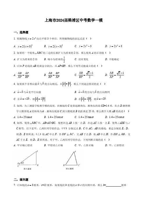 上海市2024届杨浦区中考数学一模