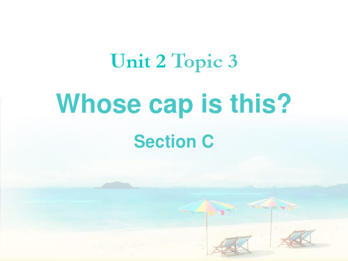 《Whose-cap-is-this》SectionC-