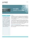 JUNIPER MAG系列JUNOS PULSE网关 产品简介