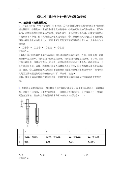 武汉二中广雅中学中考一模化学试题(含答案)