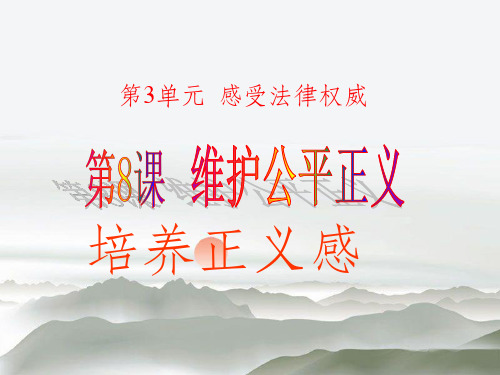 《维护公平正义》ppt课件