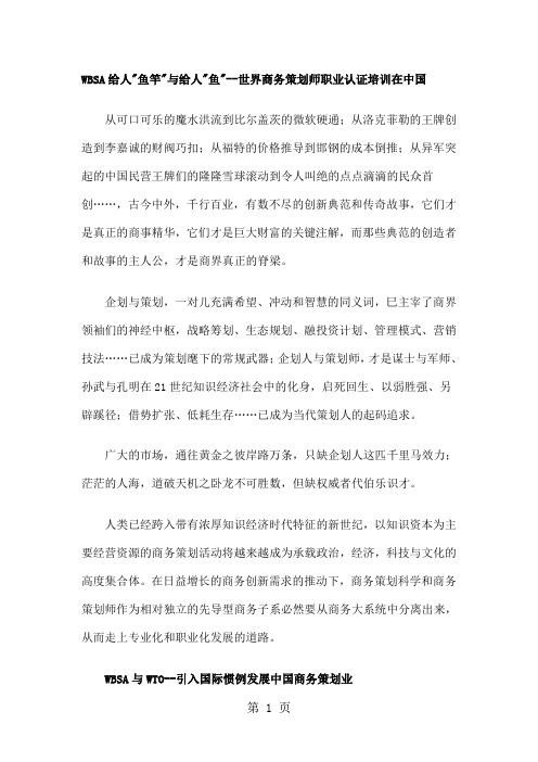 WBSA资格认证考试11页word