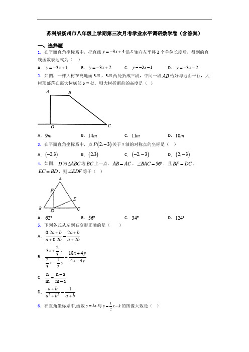 苏科版扬州市八年级上学期第三次月考学业水平调研数学卷(含答案)