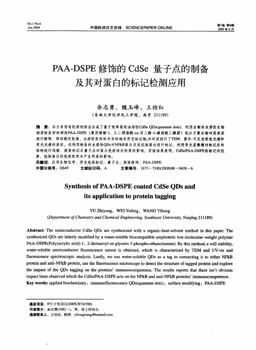 PAA-DSPE修饰的CdSe量子点的制备及其对蛋白的标记检测应用