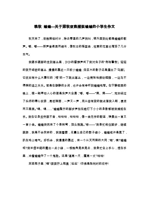 晚秋 蛐蛐—关于深秋夜晚捕捉蛐蛐的小学生作文_五年级叙事作文