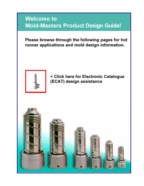 Mold master hot runner designgd