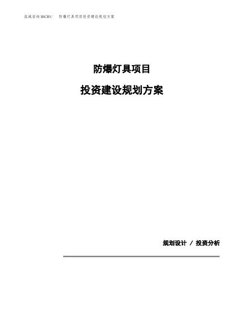 防爆灯具项目投资建设规划方案(模板)