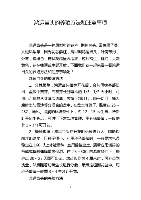 鸿运当头的养殖方法和注意事项