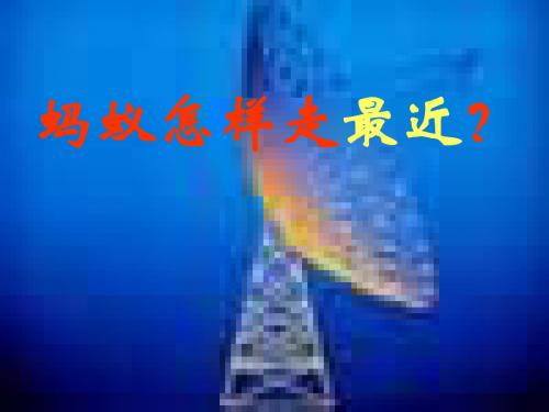 3_蚂蚁怎样走最近_课件4