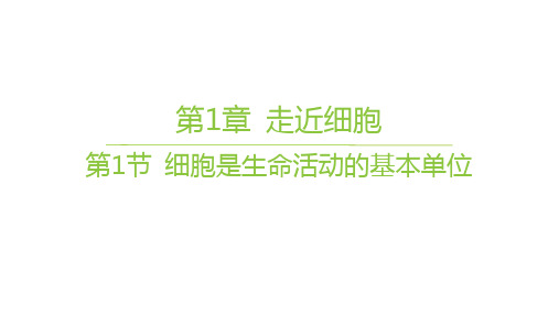 人教版高中生物学必修1精品课件 第1章 走近细胞 第1节 细胞是生命活动的基本单位 (3)