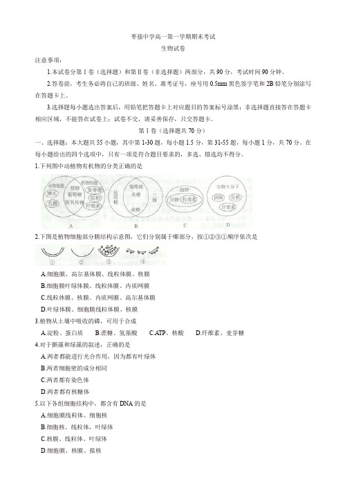 河北省枣强中学高一上学期期末考试生物试题有答案