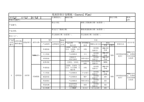 线束控制计划模板