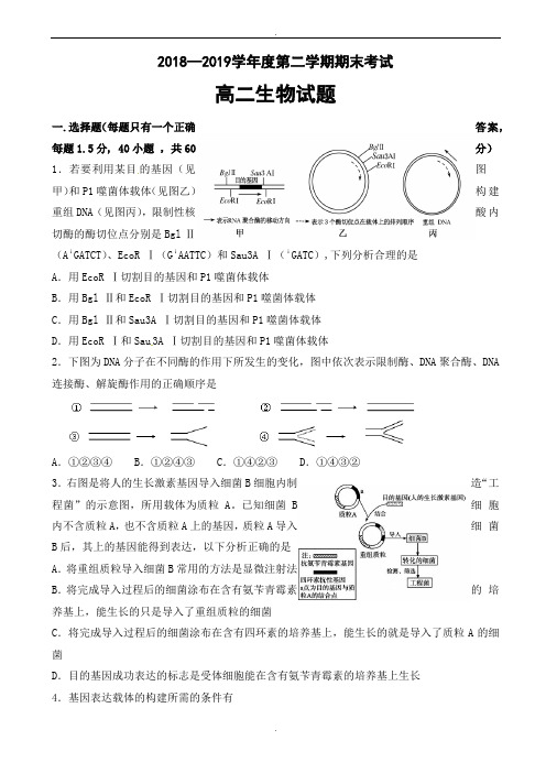 陕西省西安市2018-2019学年高二下学期期末考试生物试题_word版有答案