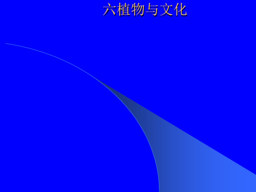 室内植物装饰概述ppt课件