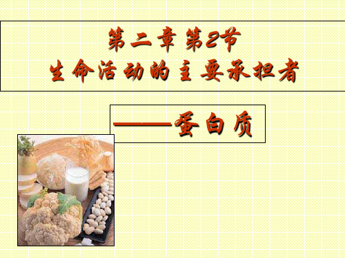 高中生物第二章第二节 生命活动的主要承担者——蛋白质课件