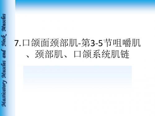 口颌面颈部肌第节咀嚼肌颈部肌口颌系统肌链