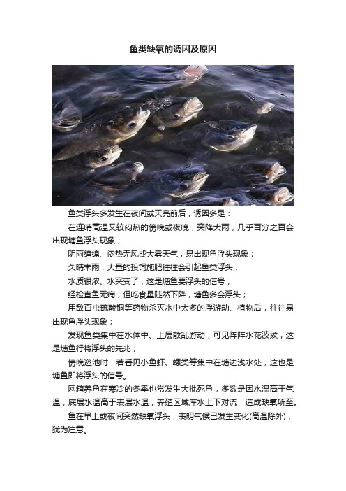 鱼类缺氧的诱因及原因