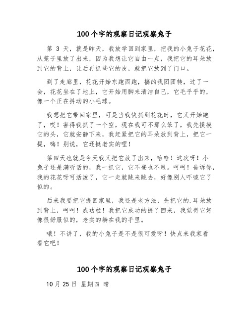 100个字的观察日记观察兔子