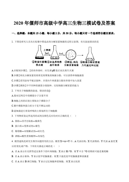 2020年偃师市高级中学高三生物三模试卷及答案