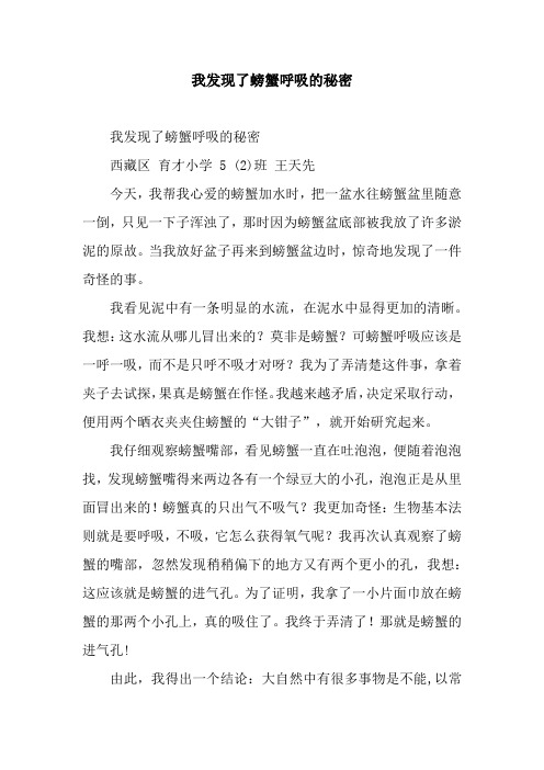 我发现了螃蟹呼吸的秘密_2