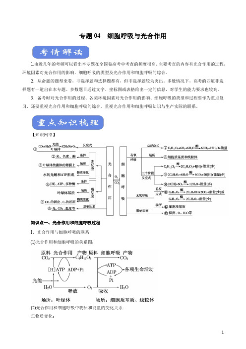 生物知识清单-专题04 细胞呼吸与光合作用(讲)(原卷+解析版)(1)