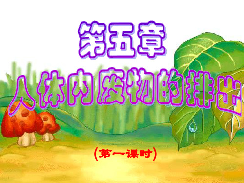 人体内废物的排出-课件