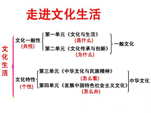 高二上《文化生活》第一课第一节：体味文化