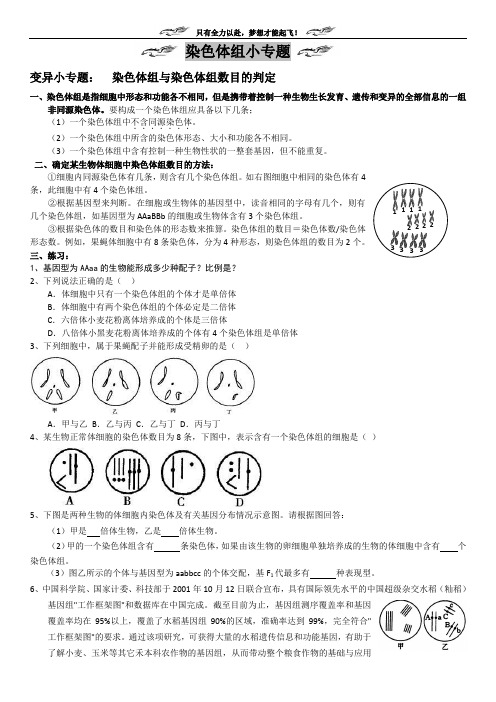 同源多倍体异源多倍体