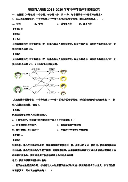 安徽省六安市2019-2020学年中考生物三月模拟试卷含解析