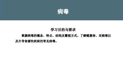 病毒的概念、特点及繁殖方式