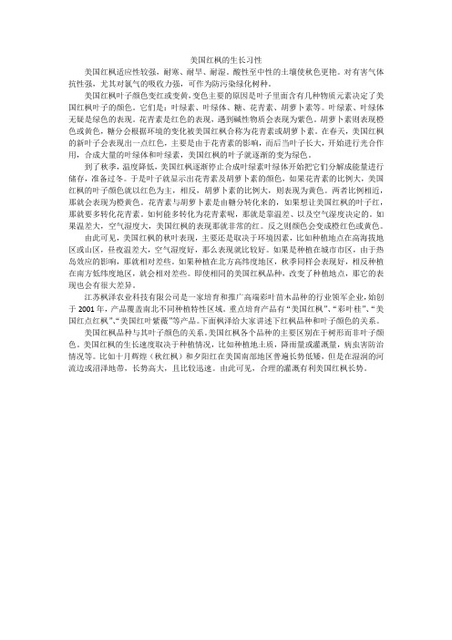 美国红枫的生长习性