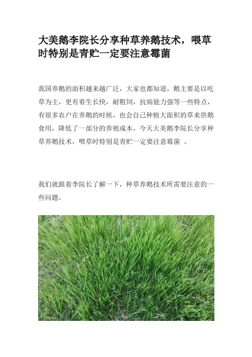 大美鹅李院长分享种草养鹅技术,喂草时特别是青贮一定要注意霉菌