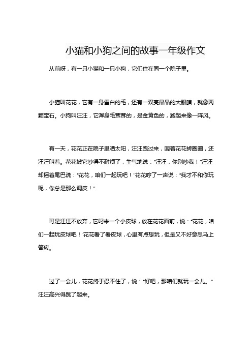 小猫和小狗之间的故事一年级作文