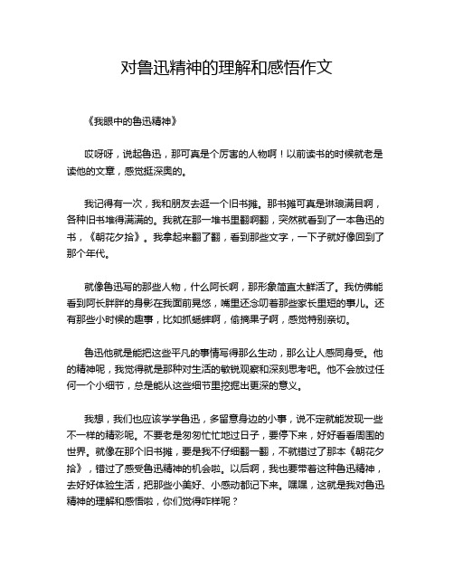 对鲁迅精神的理解和感悟作文