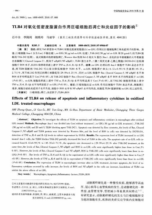 TLR4对氧化低密度脂蛋白作用巨噬细胞后凋亡和炎症因子的影响