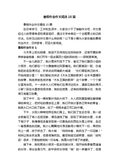 暑假作业作文精选15篇