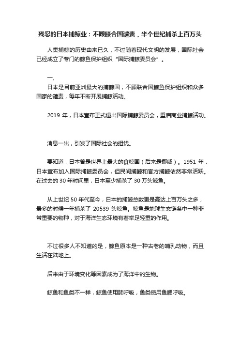 残忍的日本捕鲸业：不顾联合国谴责，半个世纪捕杀上百万头