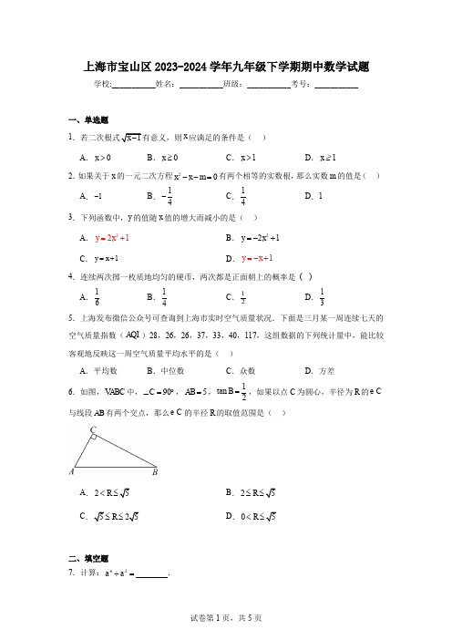 上海市宝山区2023-2024学年九年级下学期期中数学试题