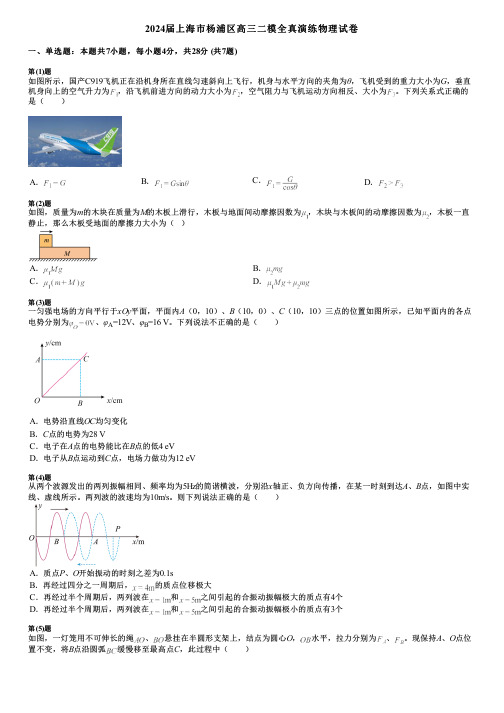 2024届上海市杨浦区高三二模全真演练物理试卷