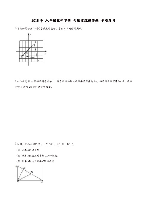 人教版八年级下《第十七章勾股定理》解答题专项复习试卷含答案