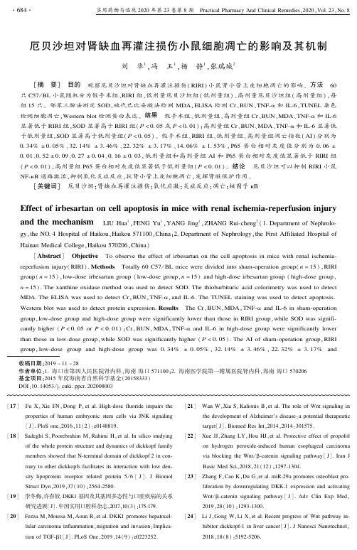 厄贝沙坦对肾缺血再灌注损伤小鼠细胞凋亡的影响及其机制