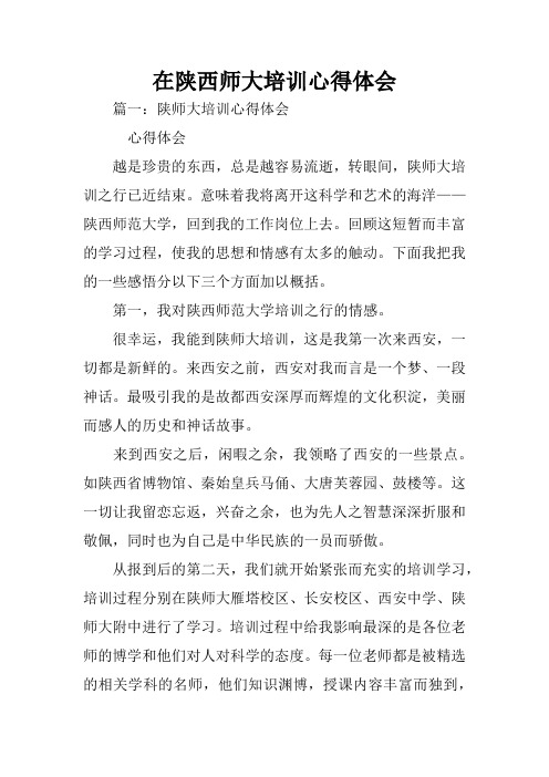 在陕西师大培训心得体会