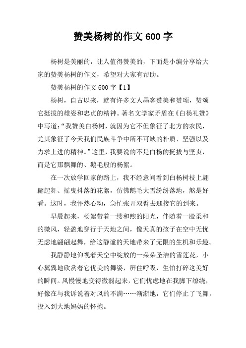 赞美杨树的作文600字