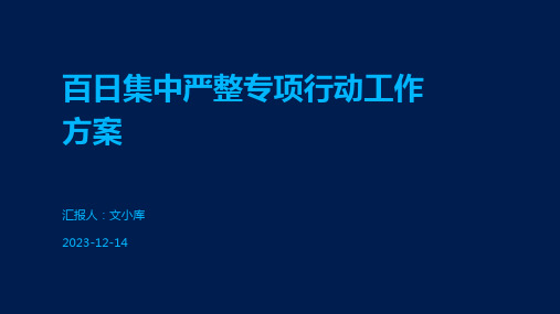 百日集中严整专项行动工作方案