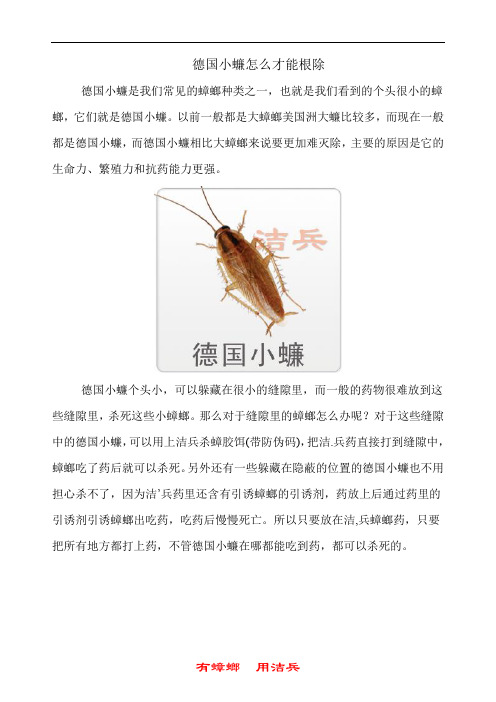 蟑螂药哪种好 大小蟑螂怎么才能根除