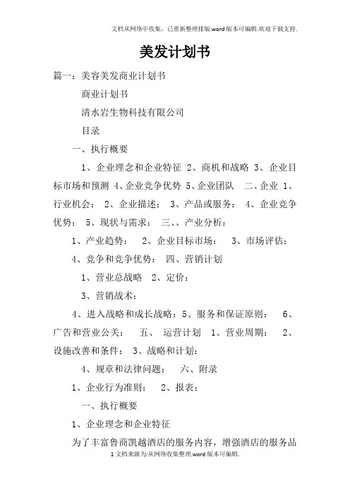 美发计划书
