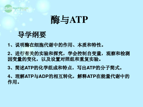 浙江省新安江中学高三生物《酶与ATP》 课件