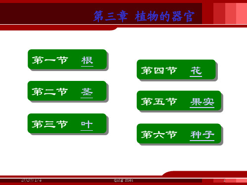 第四章   植物的器官(二)花、果实、种子青梅。