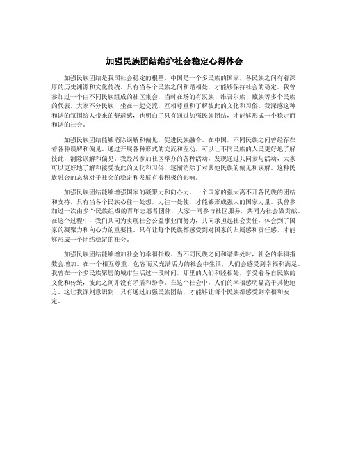 加强民族团结维护社会稳定心得体会