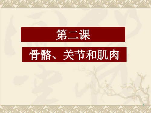 教科版四年级科学上册第四单元第二课《骨骼关节和肌肉》(含课堂作业)33446PPT课件